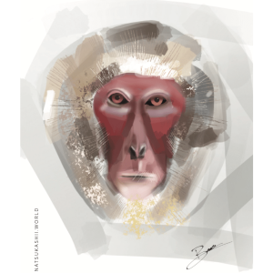 Snow Monkey - Art Card